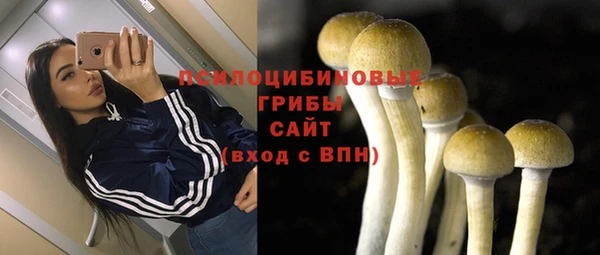 MESCALINE Вяземский
