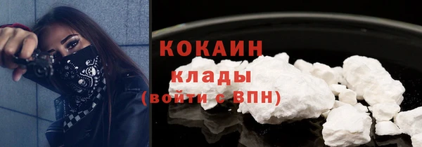 сатива Вязьма