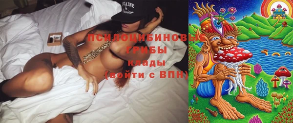 MESCALINE Вяземский