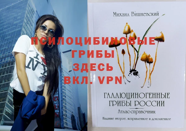 сатива Вязьма