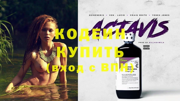 сатива Вязьма