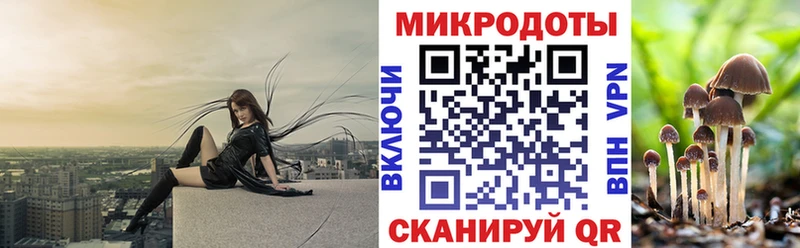Псилоцибиновые грибы GOLDEN TEACHER  Егорьевск 