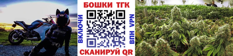 продажа наркотиков  Егорьевск  Бошки марихуана OG Kush 